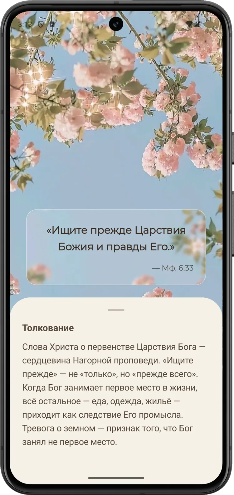 Экран приложения